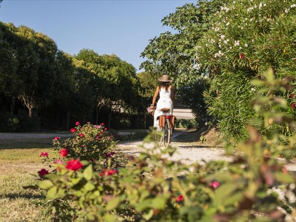 Camping Paradise - foto 54779.jpg