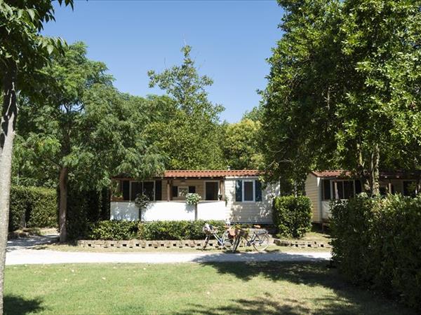 Camping Paradise - foto 54784.jpg