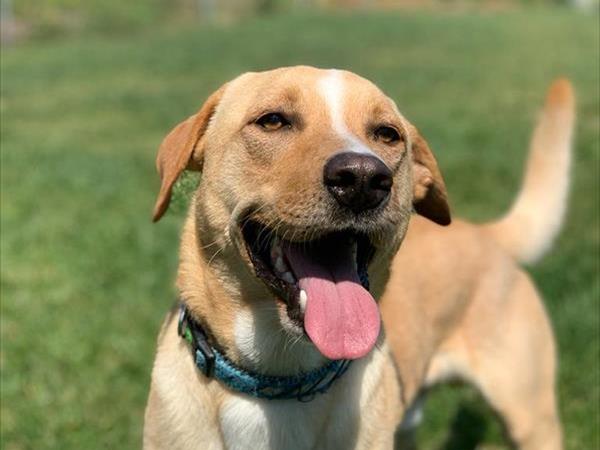 Casa Vacanza San Luca  - foto 54794.jpg