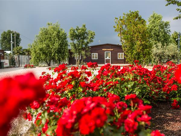 Capricci di Dama - foto 54803.jpg