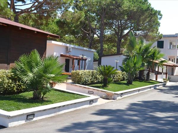 Lido Del Mare - foto 54837.jpg