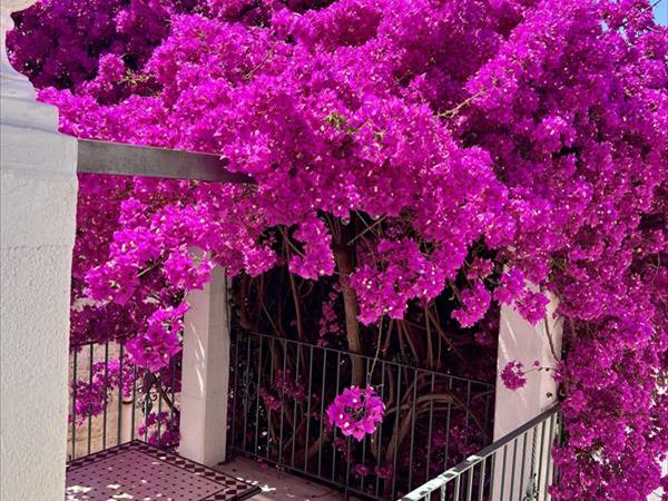 Le Dimore in Piazzetta - foto 54914.jpg