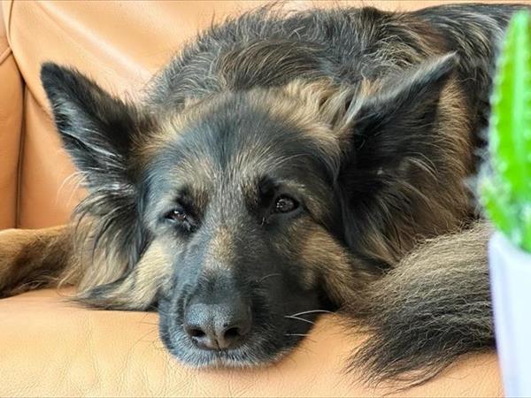 Hotel Ravello - foto 54977.jpg