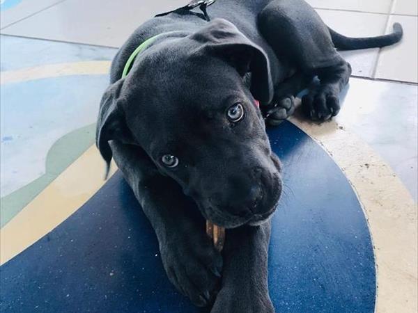 Camping Villaggio Internazionale - foto 55016.jpg