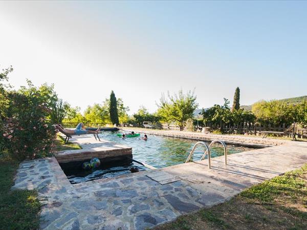 Agriturismo Il Moro - foto 55114.jpg