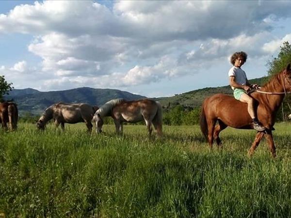 Agriturismo Il Moro - foto 55119.jpg