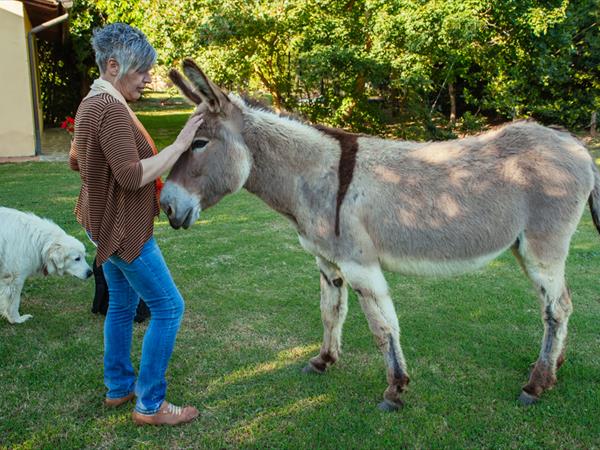 Agriturismo Il Moro - foto 55129.jpg