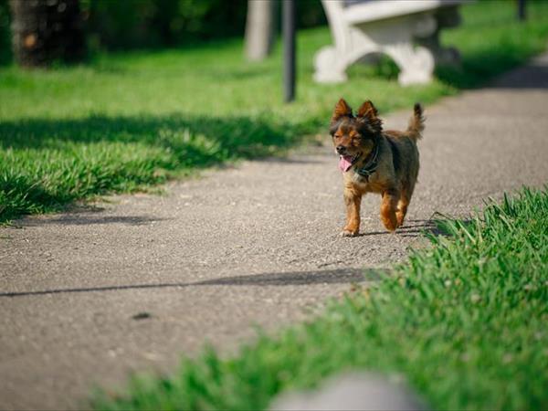 Hotel Villa Maredona - foto 55135.jpg