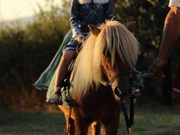 Agriturismo Il Moro - foto 55149.jpg