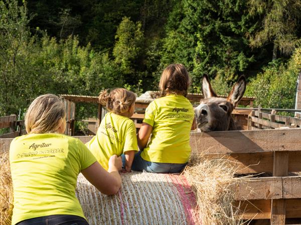 Maso Kofler - foto 55176.jpg