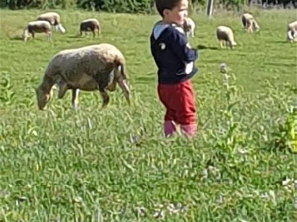 Agriturismo Il Pratone - foto 55212.jpg