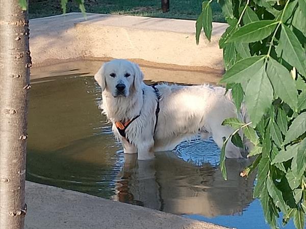Rosa Dei Venti - foto 55265.jpg