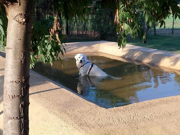 Rosa Dei Venti - foto 55267.jpg