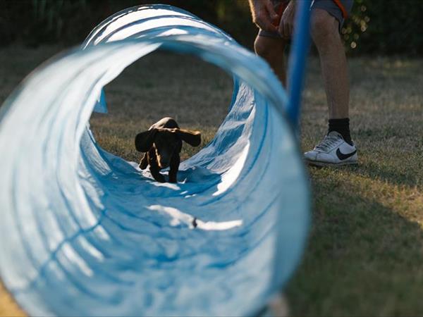 Centro Vacanze Camping Spinnaker - foto 55325.jpg