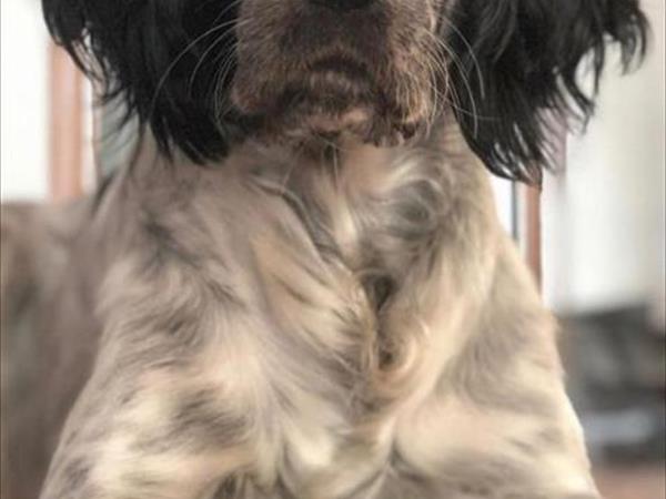 Casa Vera - foto 55510.jpg