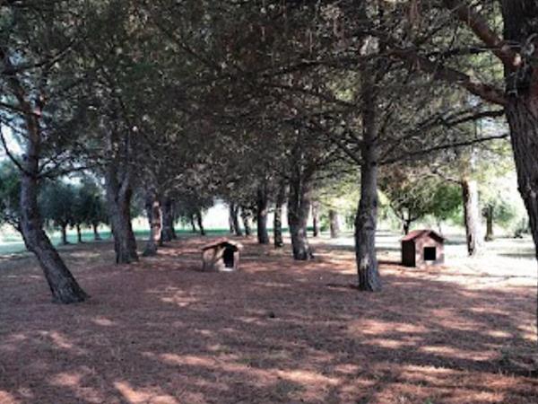 Casa Vera - foto 55512.jpg