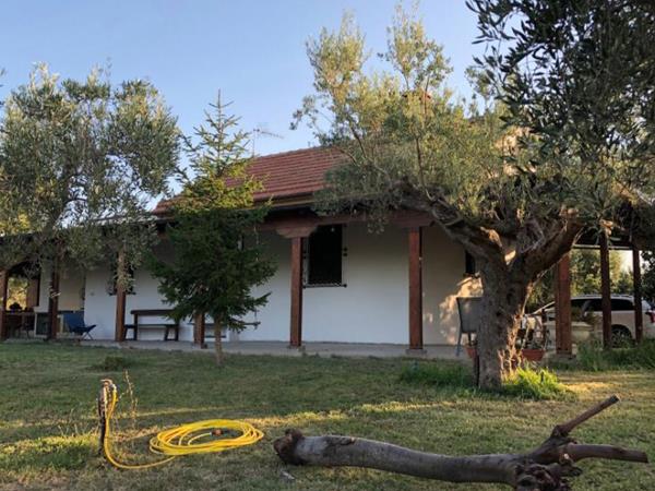 Casa Vera - foto 55515.jpg