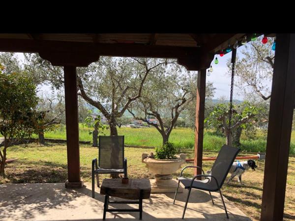 Casa Vera - foto 55530.jpg