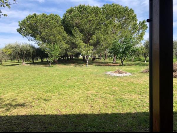 Casa Vera - foto 55531.jpg