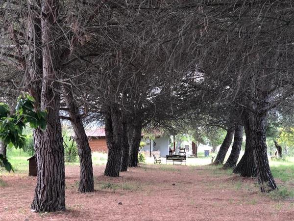 Casa Vera - foto 55533.jpg