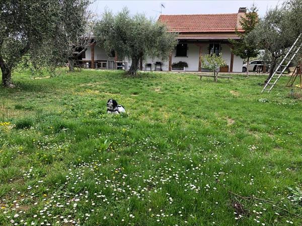 Casa Vera - foto 55534.jpg