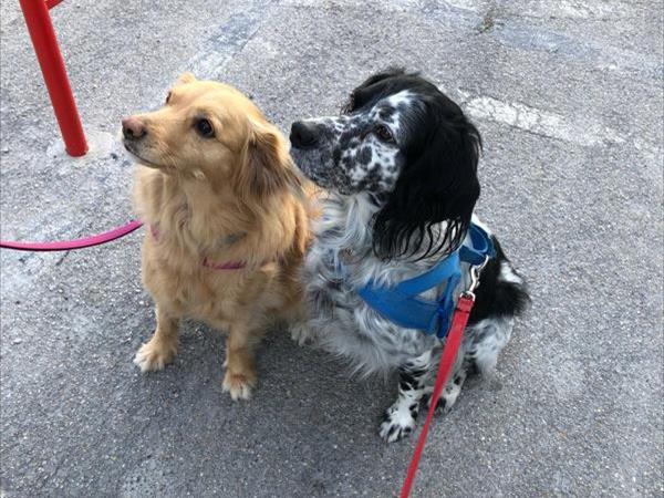 Casa Vera - foto 55535.jpg