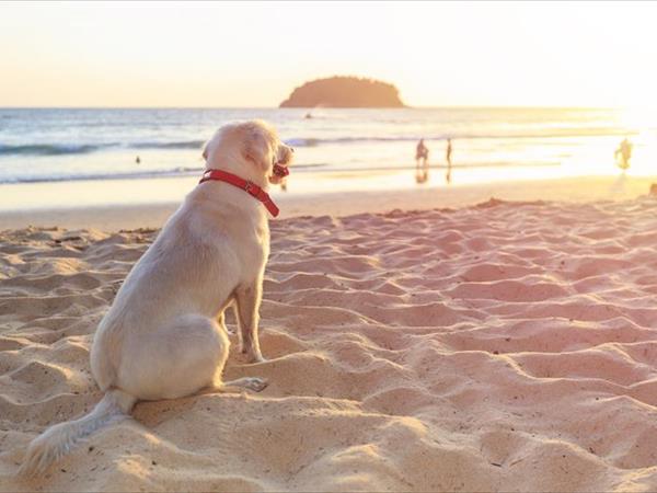 Residence Kalispera - foto 55639.jpg