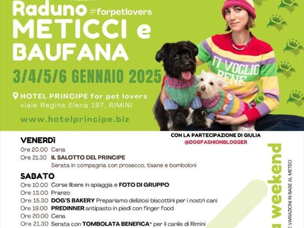 Hotel Principe for Pet Lovers - foto 55640.jpg