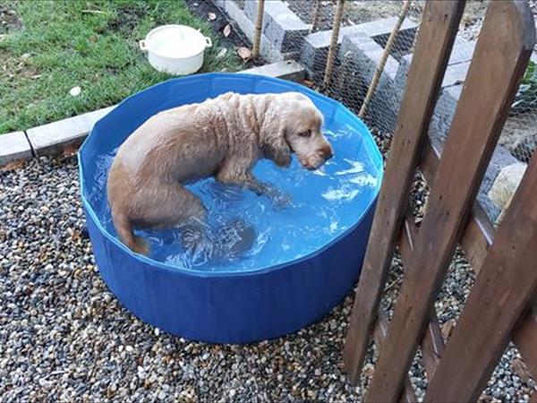 Casa Vacanze Residenza Ma se ghe penso - foto 55658.jpg