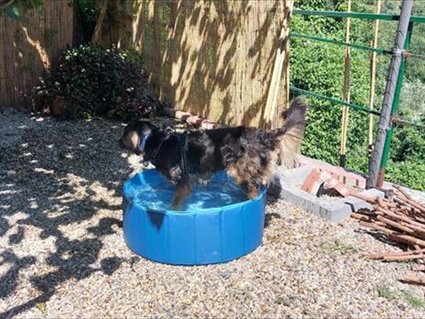 Casa Vacanze Residenza Ma se ghe penso - foto 55659.jpg