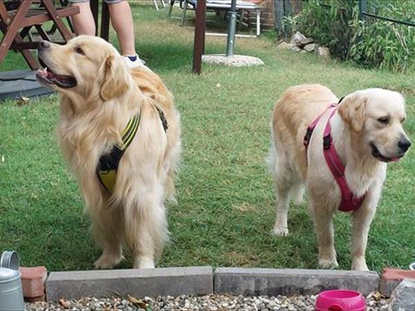 Casa Vacanze Residenza Ma se ghe penso - foto 55660.jpg