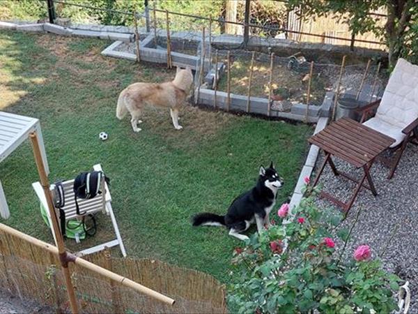 Casa Vacanze Residenza Ma se ghe penso - foto 55661.jpg