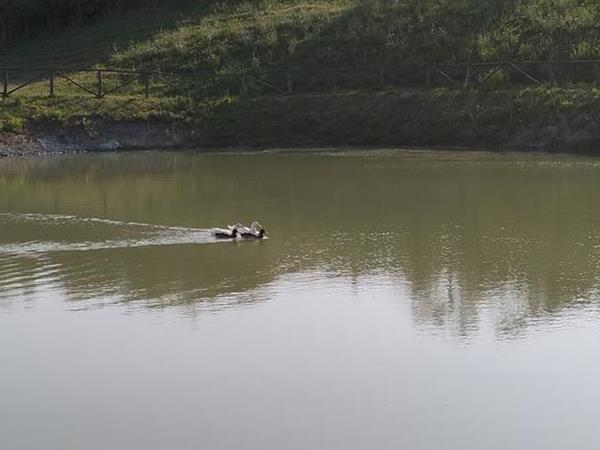 Casa Vacanze Santa Caterina - foto 55672.jpg