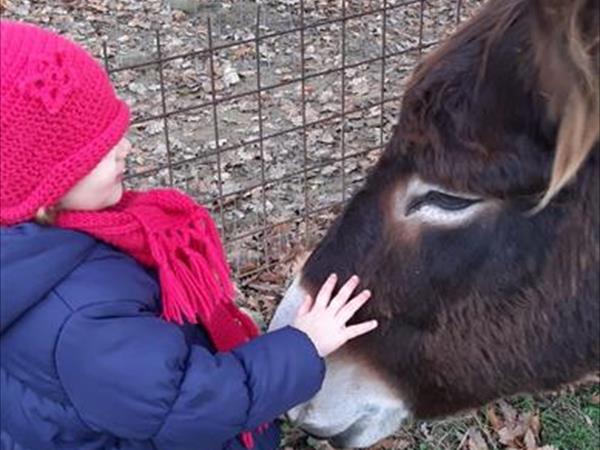 Agriturismo Montesalce - foto 55674.jpg