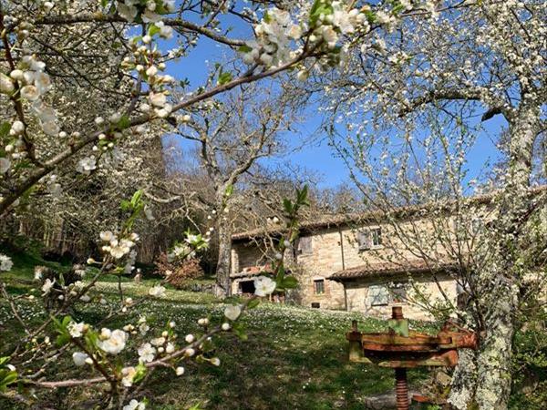 Agriturismo Montesalce - foto 55676.jpg