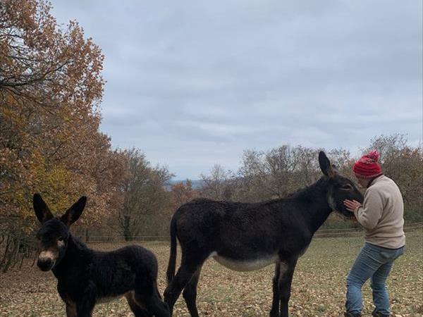 Agriturismo Montesalce - foto 55678.jpg