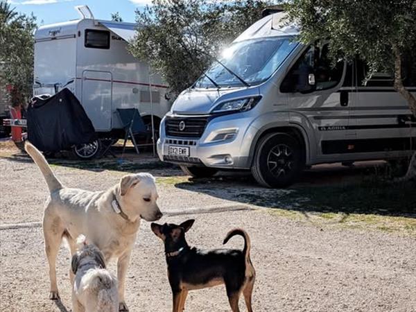 Camping Lilybeo Village - foto 55696.jpg