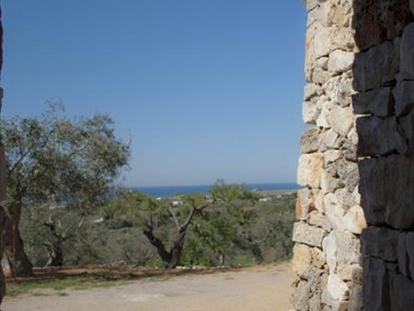 Affascinante Liama Grande - foto 55711.jpg