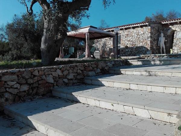 Affascinante Liama Grande - foto 55712.jpg