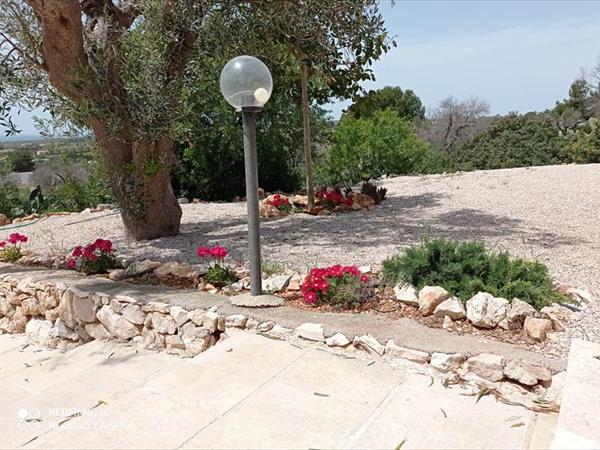 Affascinante Liama Grande - foto 55713.jpg