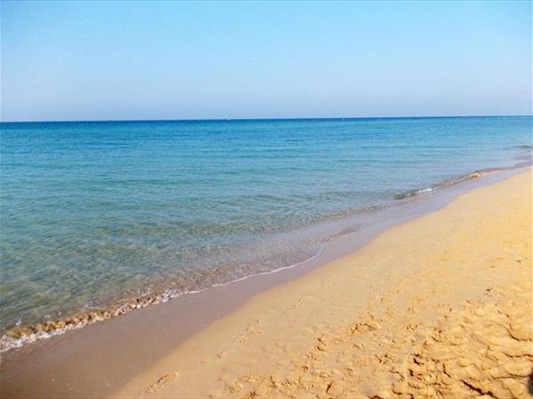 Affascinante Liama Grande - foto 55715.jpg