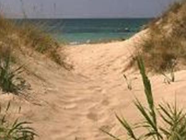 Affascinante Liama Grande - foto 55718.jpg