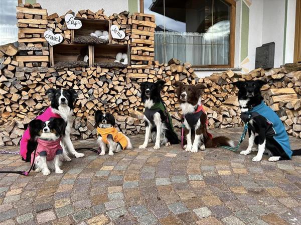 Alpine Touring Hotel - foto 55720.jpg