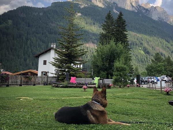 Alpine Touring Hotel - foto 55721.jpg