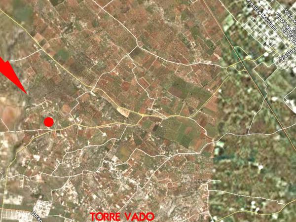 Affascinante Liama Grande - foto 55737.jpg