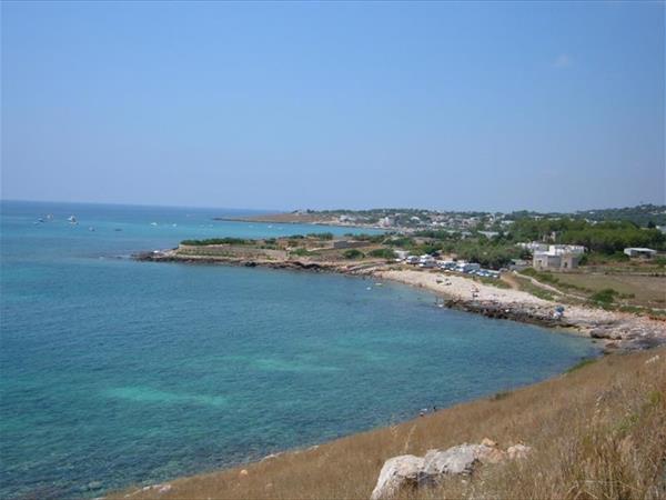 Affascinante Liama Grande - foto 55738.jpg