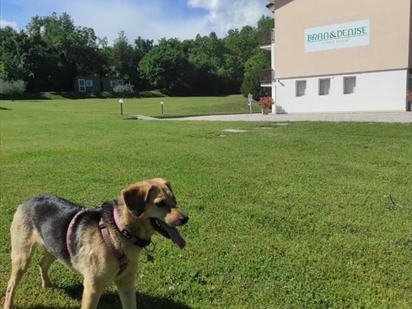 Bran & Denise - foto 55752.jpg