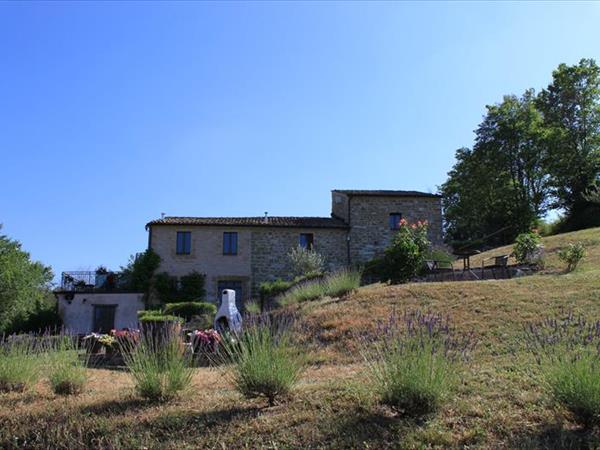 Agriturismo Carincone - foto 55805.jpg