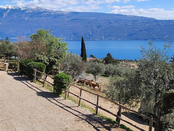Agriturismo Scuderia Castello - foto 55823.jpg
