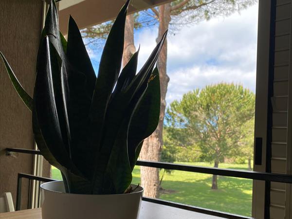 Sfera Immobiliare - foto 55887.jpg